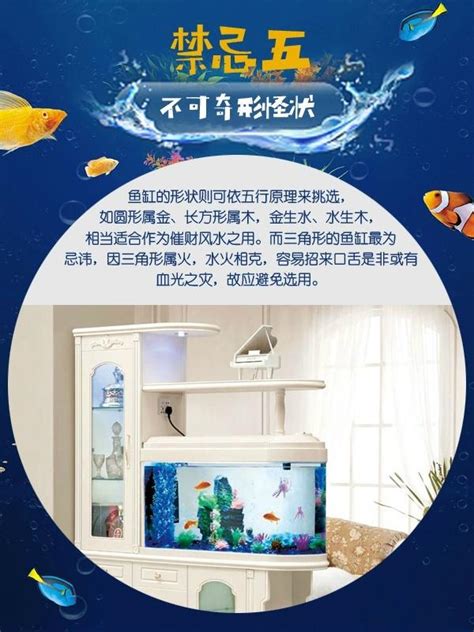 魚缸擺放禁忌